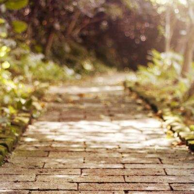 百人牛牛游戏软件手机app下载截图